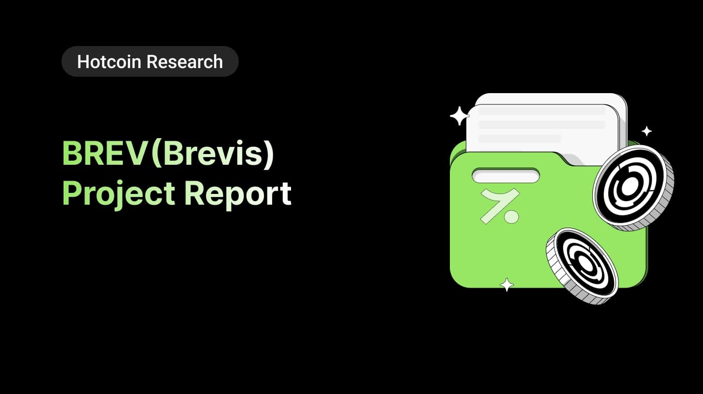 BREV (Brevis) Research Report